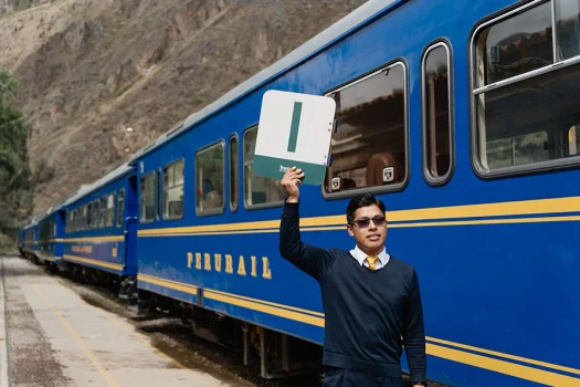 estaciones paraderos Tren Local